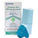 Саламол Эко Легкое Дыхание, аэрозоль для ингаляций дозированный 100 мкг/доза 1 шт
